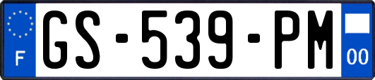 GS-539-PM