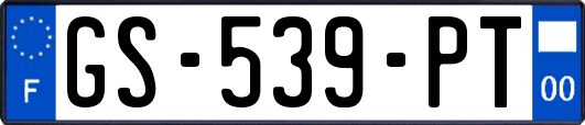 GS-539-PT