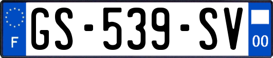 GS-539-SV