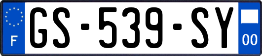 GS-539-SY