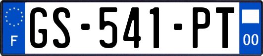 GS-541-PT