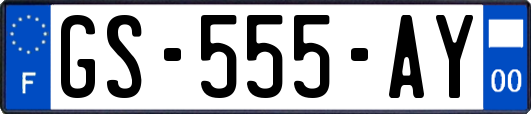 GS-555-AY