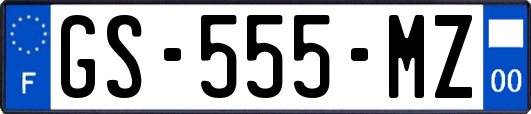 GS-555-MZ