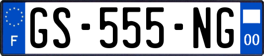 GS-555-NG