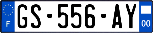 GS-556-AY