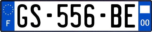 GS-556-BE