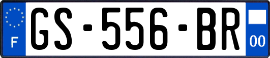 GS-556-BR