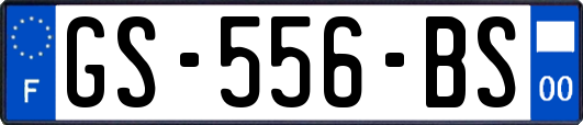 GS-556-BS