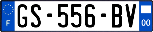 GS-556-BV