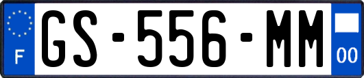 GS-556-MM