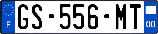 GS-556-MT