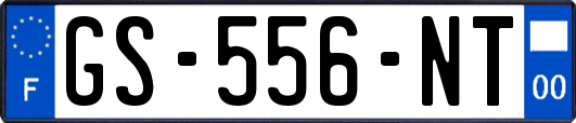 GS-556-NT