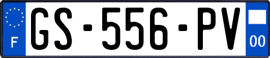 GS-556-PV