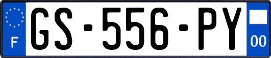 GS-556-PY