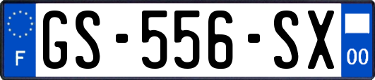 GS-556-SX