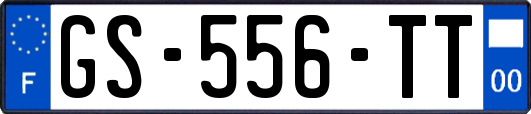 GS-556-TT