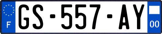 GS-557-AY