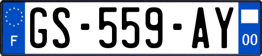 GS-559-AY