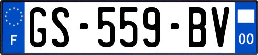 GS-559-BV