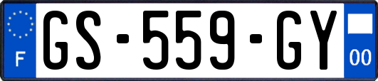 GS-559-GY
