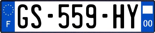 GS-559-HY