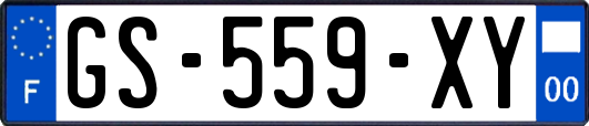 GS-559-XY