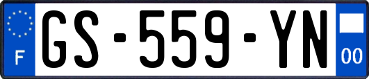 GS-559-YN