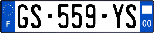 GS-559-YS