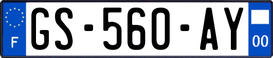 GS-560-AY