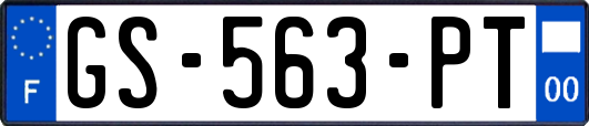 GS-563-PT