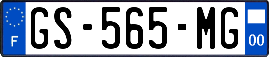 GS-565-MG
