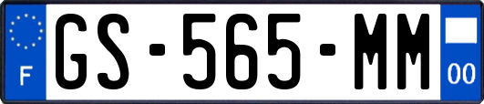 GS-565-MM