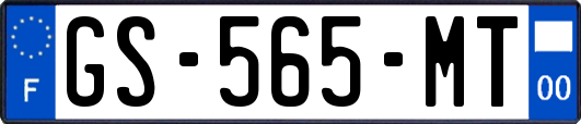 GS-565-MT
