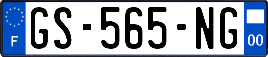 GS-565-NG