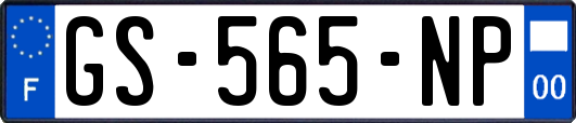 GS-565-NP