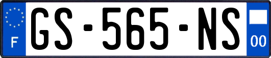 GS-565-NS