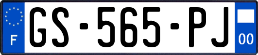 GS-565-PJ