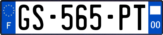 GS-565-PT
