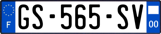 GS-565-SV