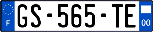 GS-565-TE