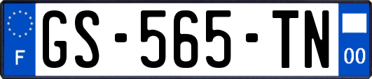 GS-565-TN