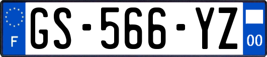 GS-566-YZ