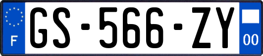 GS-566-ZY