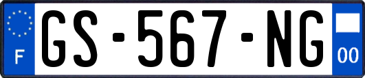 GS-567-NG