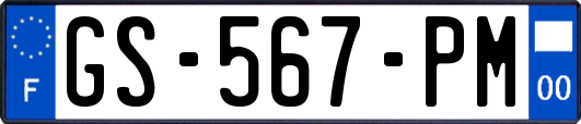 GS-567-PM
