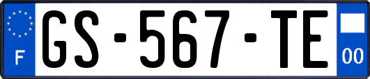 GS-567-TE