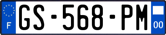 GS-568-PM