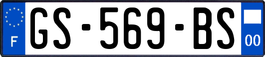 GS-569-BS