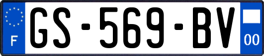 GS-569-BV