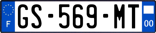 GS-569-MT